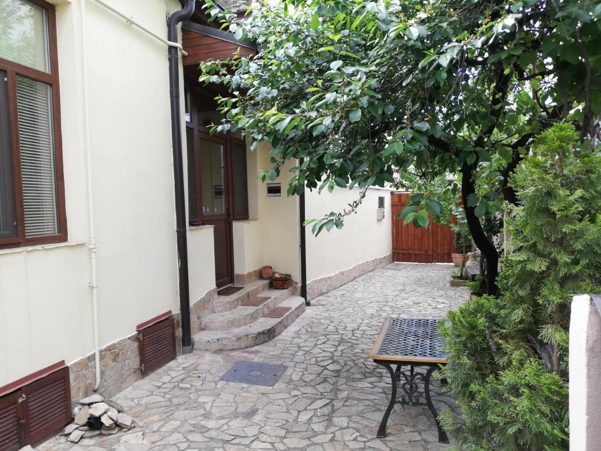 Arthouse Lucrezia Hotel Timişoara Exterior foto