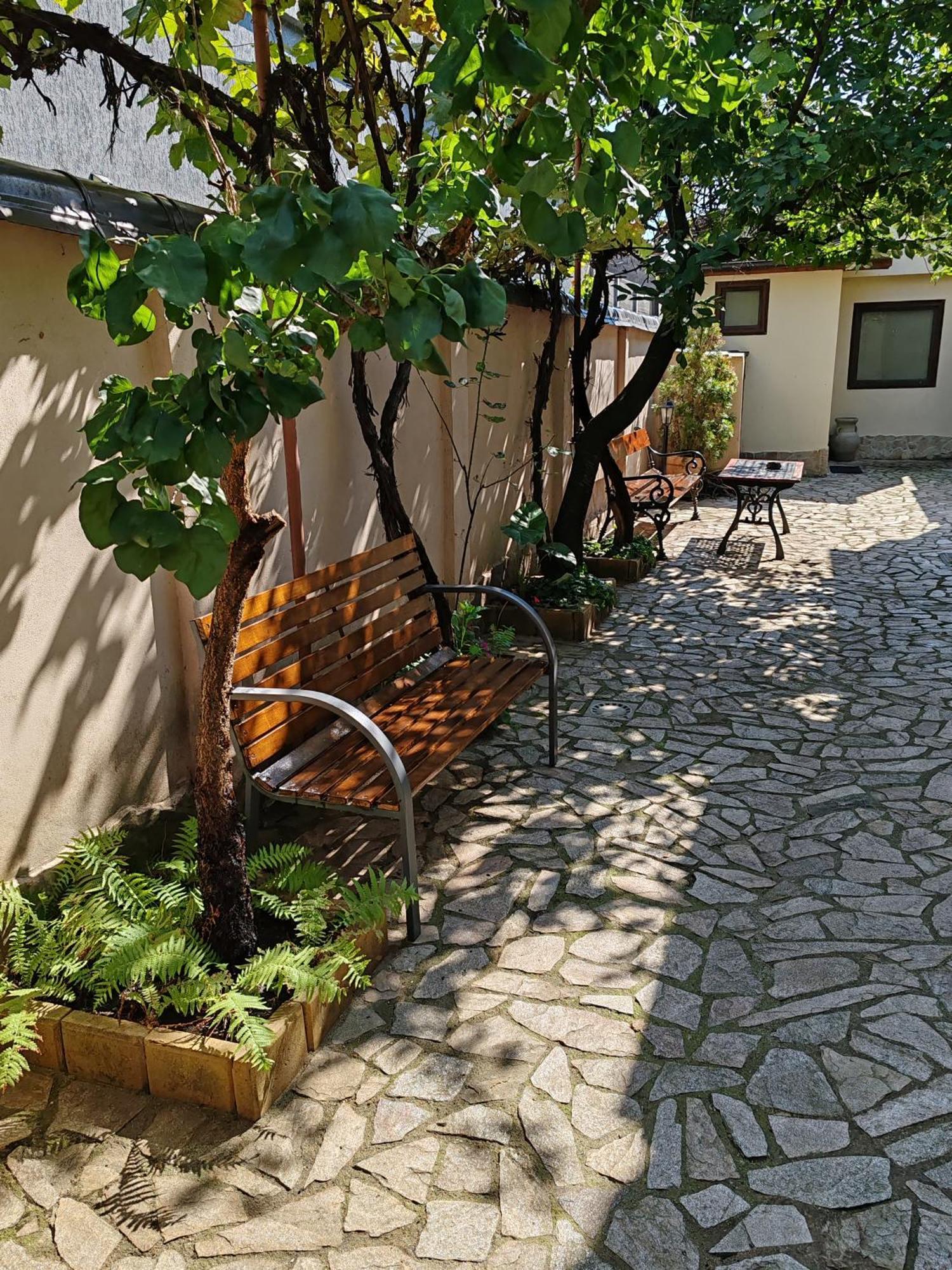 Arthouse Lucrezia Hotel Timişoara Exterior foto